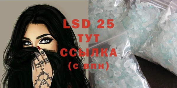 PSILOCYBIN Алексеевка
