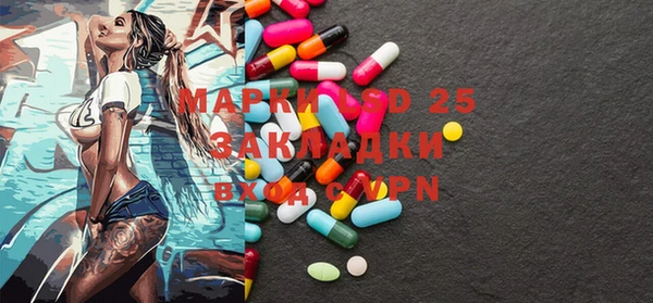 PSILOCYBIN Алзамай