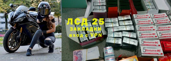стафф Абинск