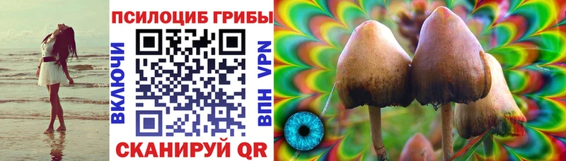 Псилоцибиновые грибы Psilocybine cubensis  Шенкурск 